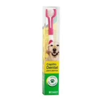 أفضل حافظة فرشاة أسنان للكلاب: تجربة عملية مع Difresh Toothbrush with Dog Case