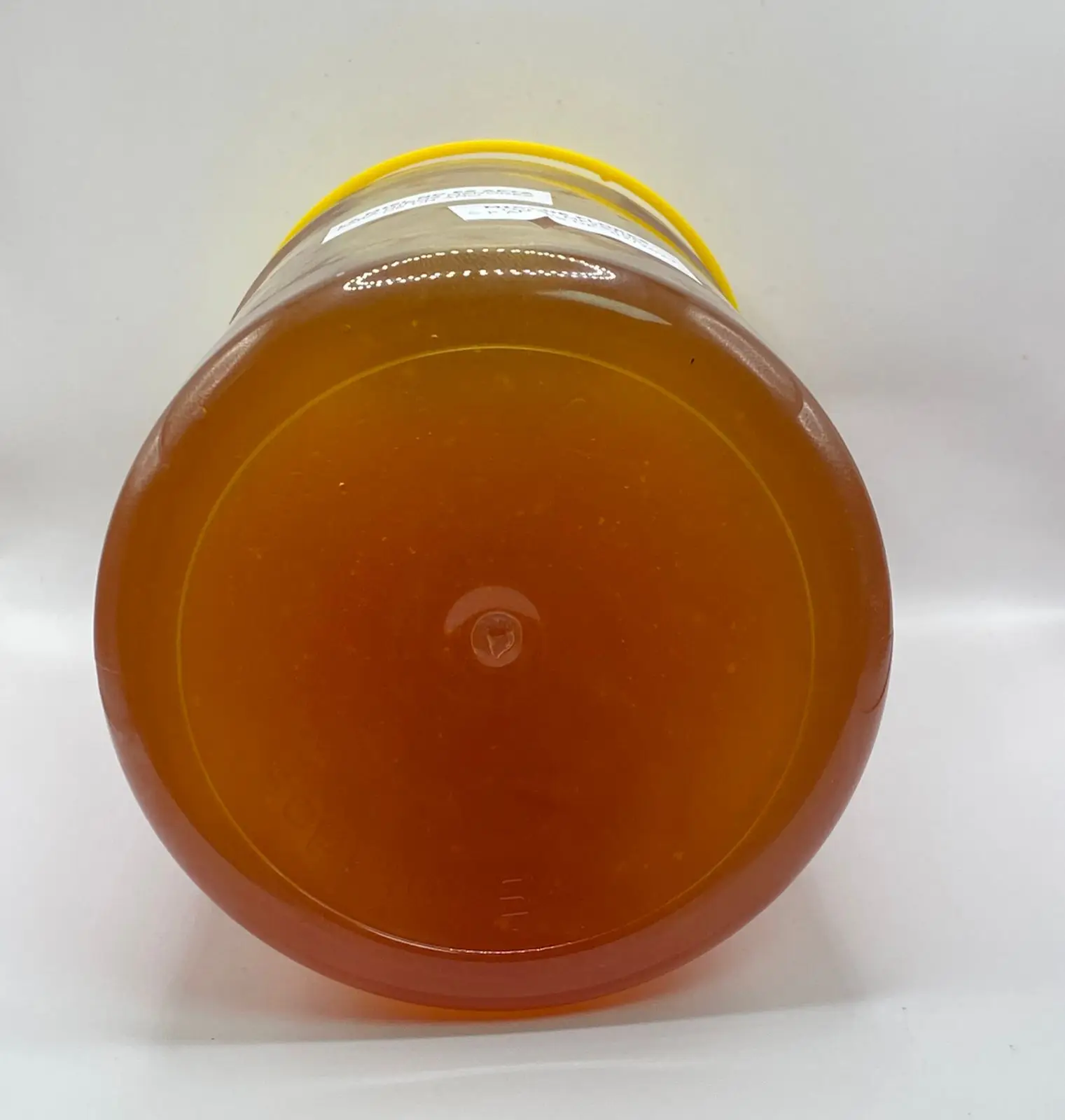Flower honey 2kg from spain from casa miell montsserat valencia. #4