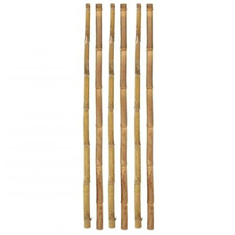 Maxia Market - Cañas De Bambú, Palitas, Tutores Decorativos Para Decoracion Jardin Hogar