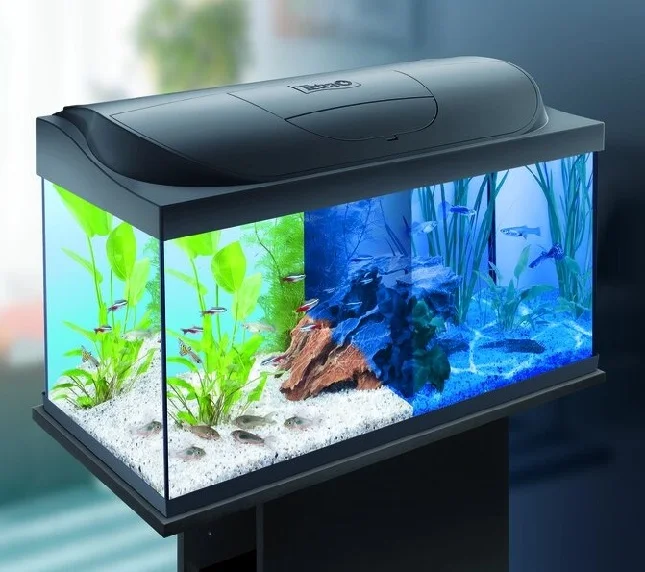 Tetra Starter Line LED 105L aquarium big start LED daylight/night mode