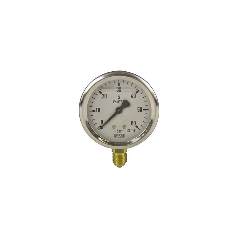 MANOMETRO GLICERINA 0-60