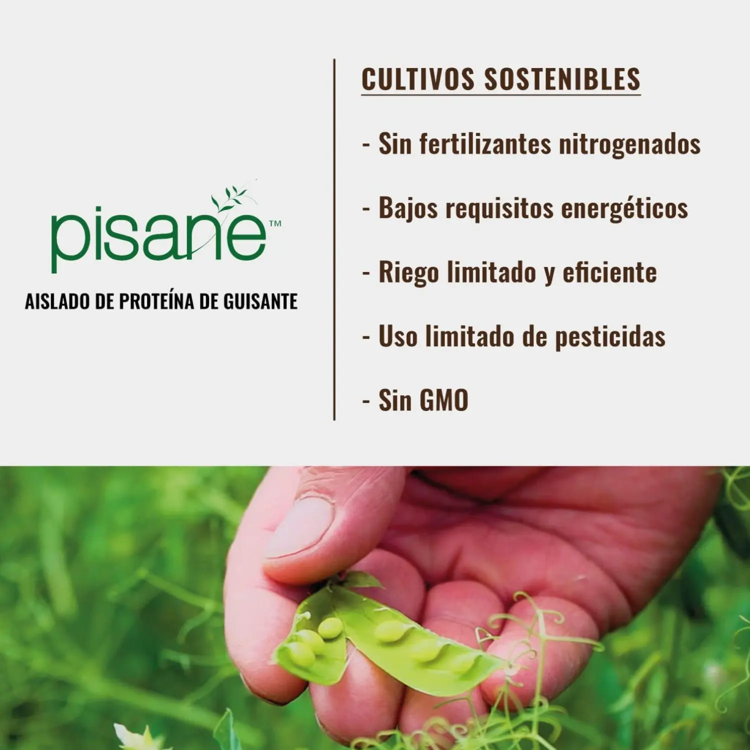 Weider vegan - vegan protein - 750 gr - 23g/dose insulated peas (pisane) and rice. With vitamin b12 and stevia. No gluten, no sugar. Bottle 50% recycled, 100% recyclable