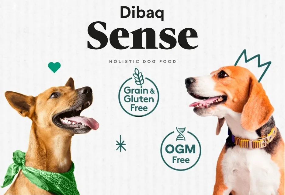 Dibaq Sense Grain Free Adult salmon 12 Kg