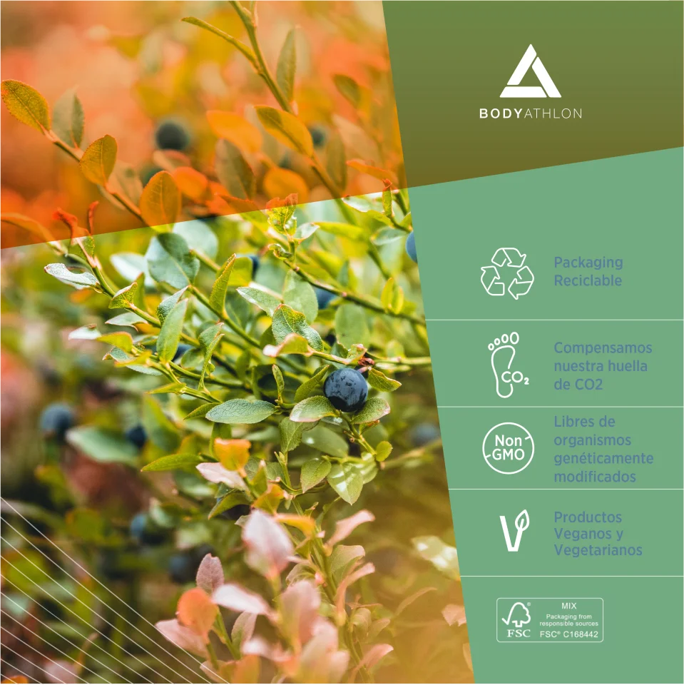 Bodyathlon – l carnitine 3000 capsules – 180 capsules – aum – sports supplement – 750mg per capsule