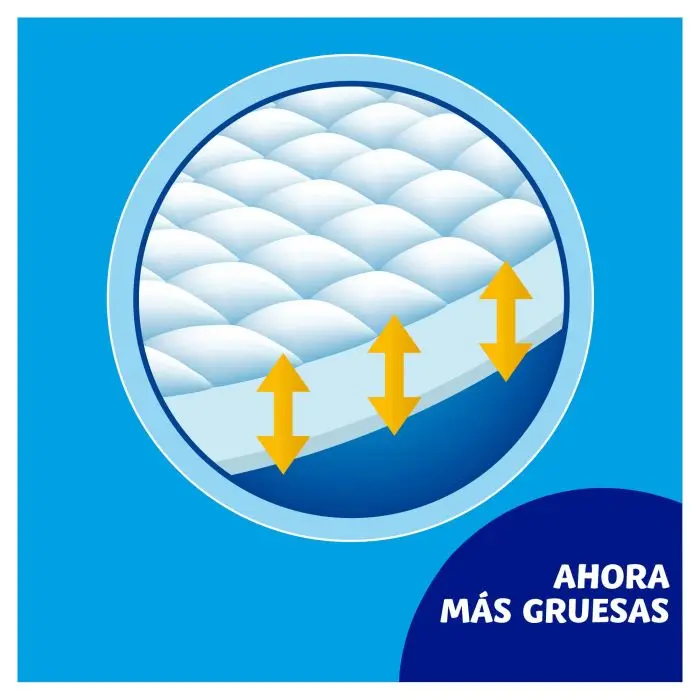 Imagen 5