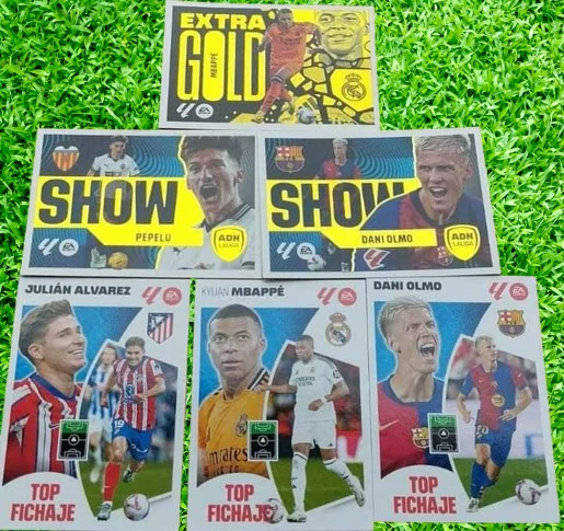 Link this Album + 10 envelopes of the 4th edition (80 cards) 2024 2025 are Panini stickers the fourth