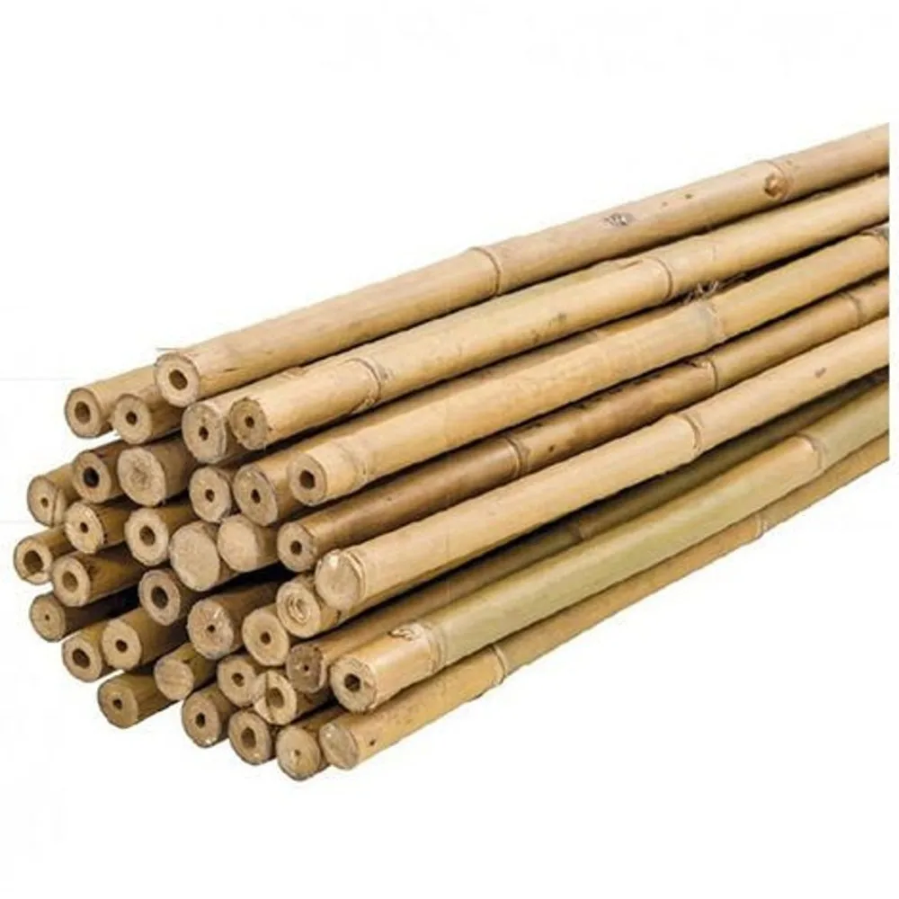 20 - 40 Unids Tutores, Palitas, Cañas de Bambú Para Plantas o Decoracion Jardin Hogar - Maxia Market