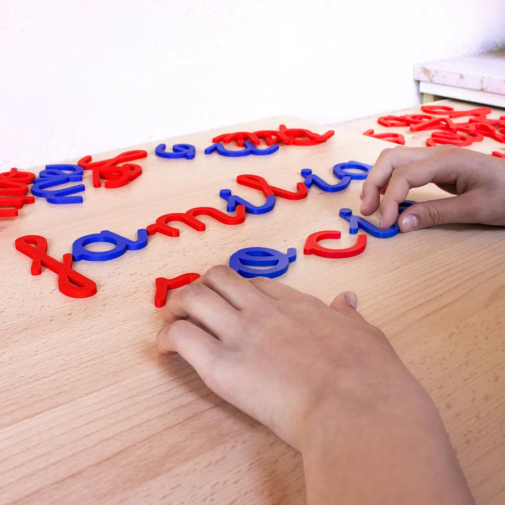 Montessori letters, school alphabet lowercase. Learn to read and write while having fun. Educational alphabet for children 3 4 5 and 6 years old. (small) mfs myfuturshop