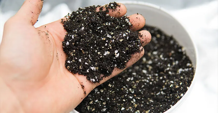 Perlite meliflor 11l