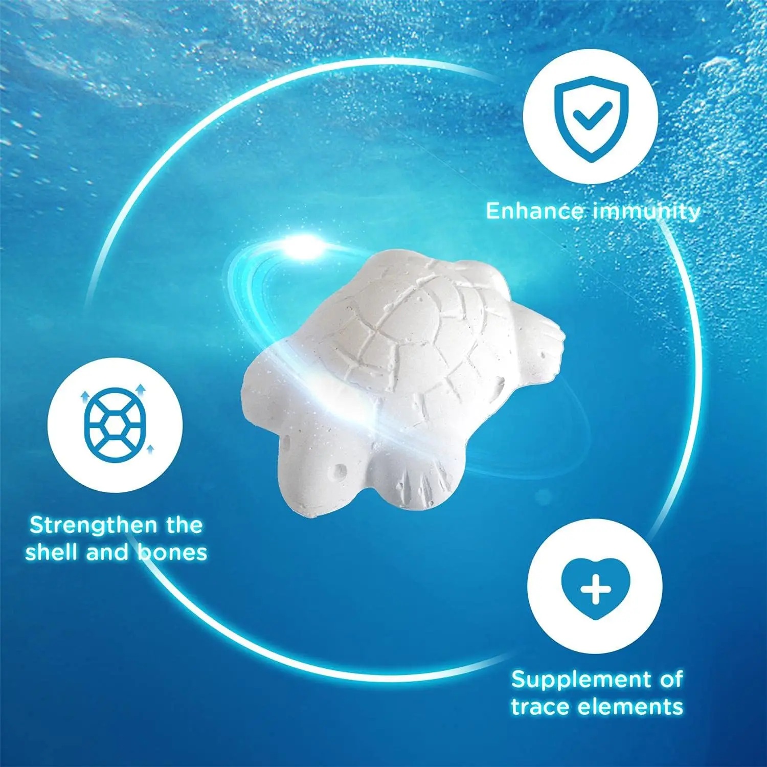 Bps food for Gammarus turtles