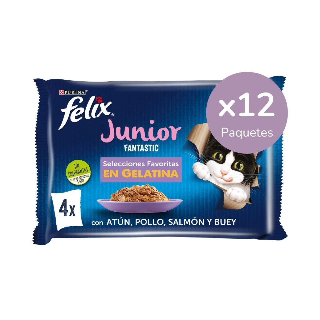 FELIX - Fantastic Junior (48x85 gr) -wet food for kittens (ox, chicken, salmon and tuna) (12x4x85 gr)