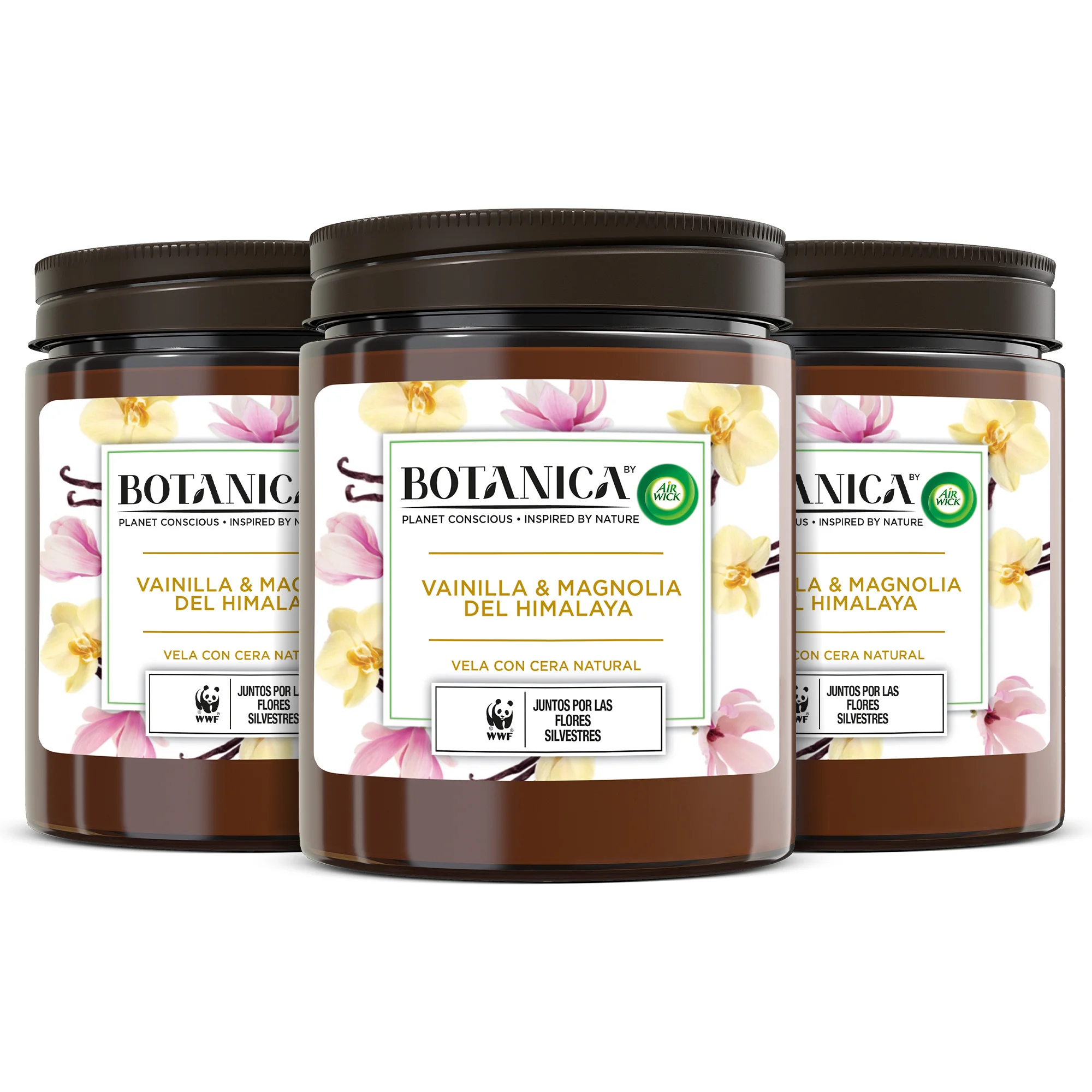 Botanica by Air wick Pack 3 Velas Aromáticas cera natural, aroma Vainilla y Magnolia del Himalaya