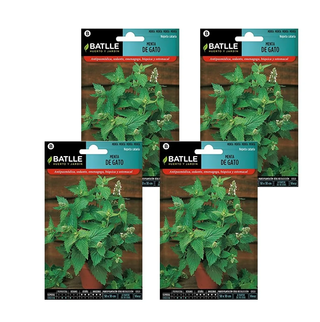 4 Sobres de Semillas de menta de gato de Semillas Batlle.