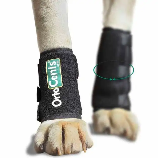 Wrist Brace for dogs with muscle or tendon injuries orthoprime