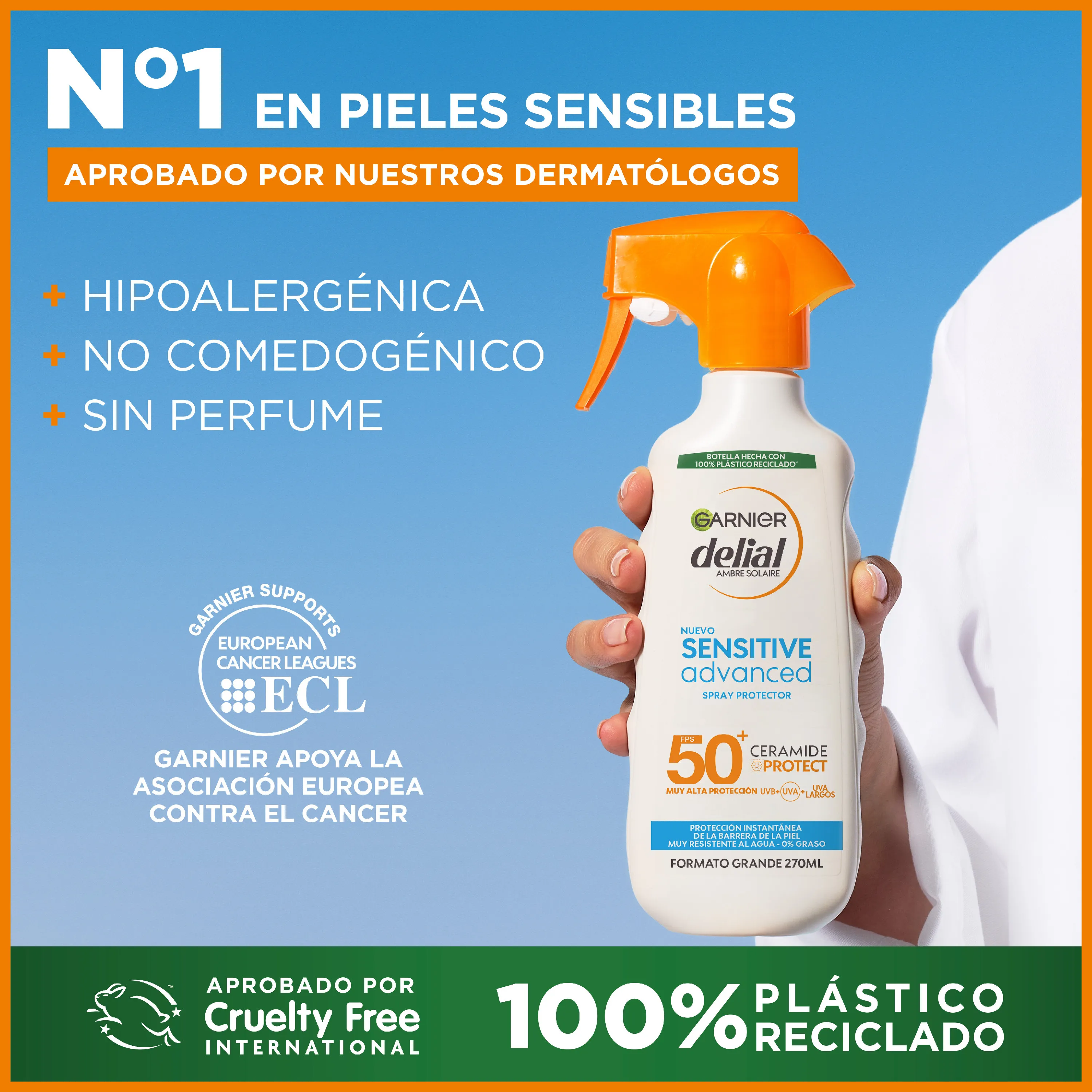 Imagen 6
