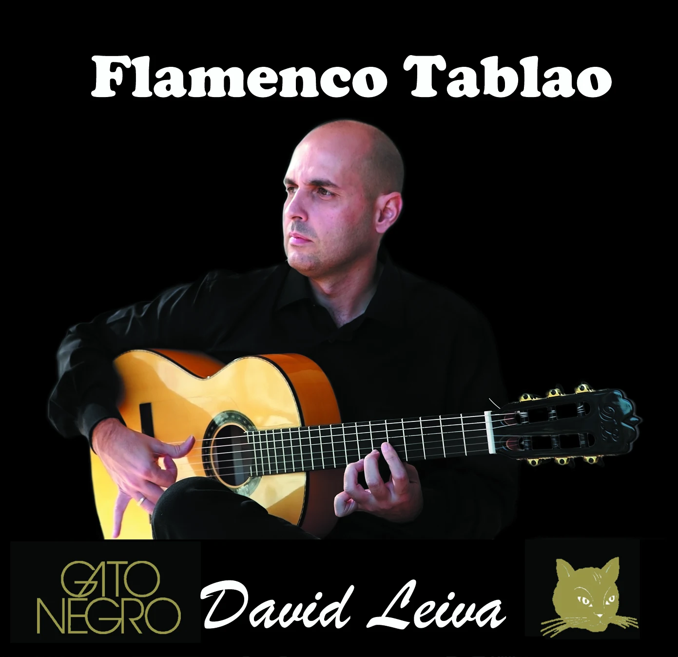Cuerdas para Guitarra Flamenca Gato Negro David Leiva Tablao. Fabricadas en nylon y entorchado de cobre plateado de alta calidad.