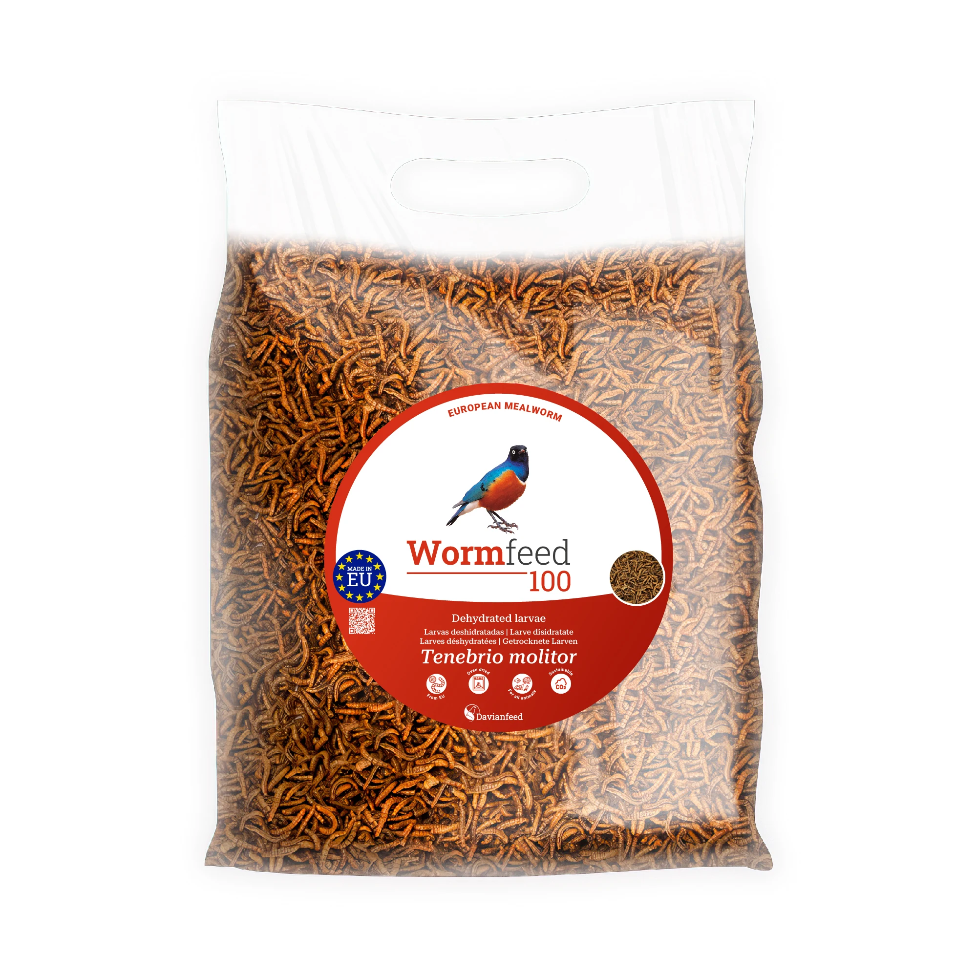 Wormfeed 100 - Gusano de Harina Superior 250 g - Larvas de Tenebrio molitor para Alimentación de Aves, Reptiles, Roedores y Peces - Fuente Rica en Proteínas y Ácidos Grasos Omega 3 y 6 - Calidad
