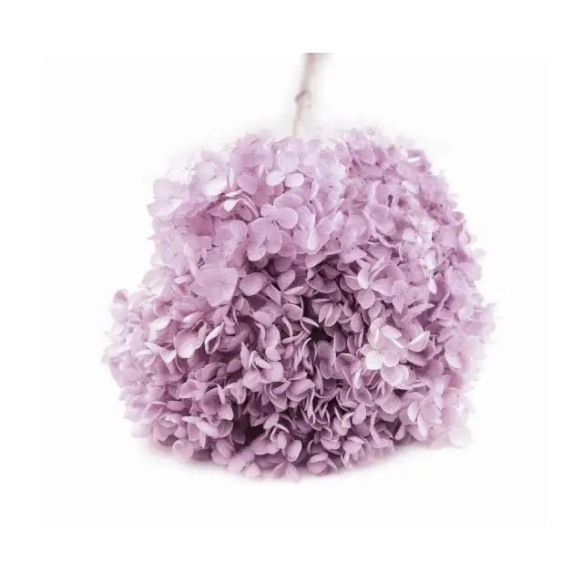 Artipistilos Hortensia Preservada - Flor Mini Raíz
