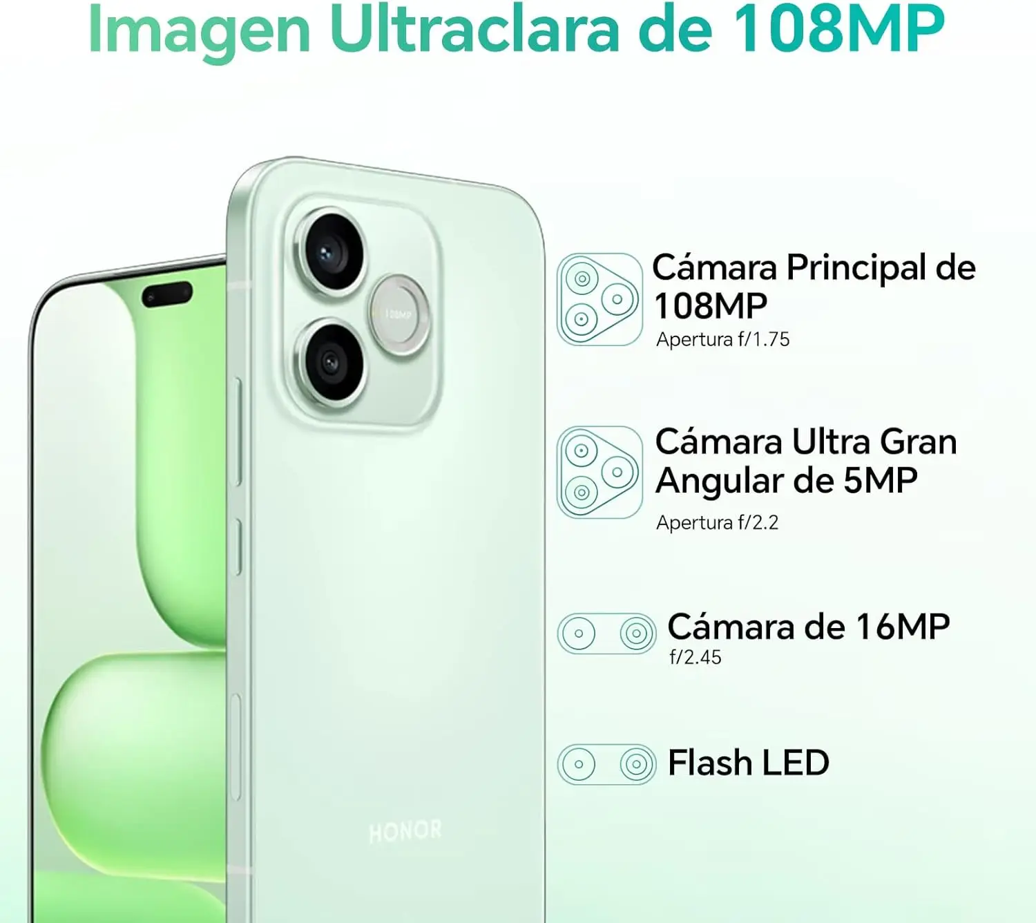 Imagen 6