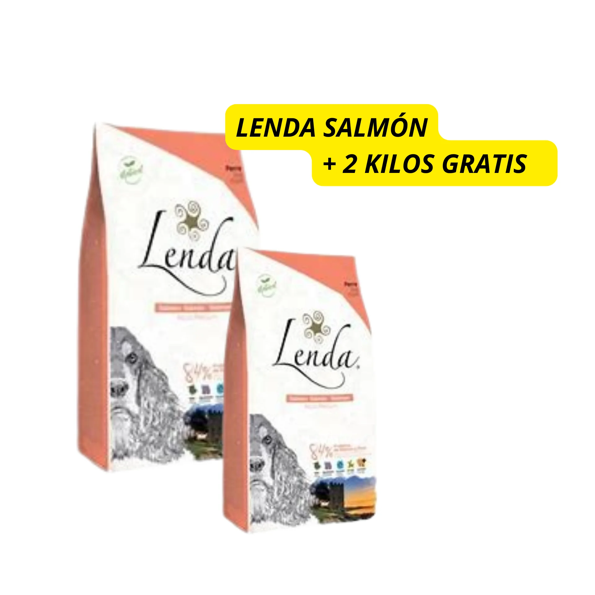 Original salmon feed Lenda for dogs 12KG + 2KG free-functional food and allergenic free