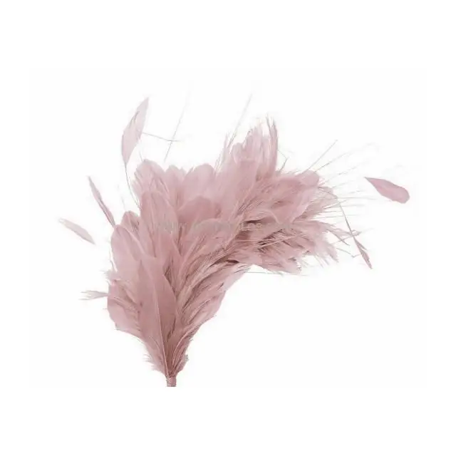 Montaje de Plumas de Gallo, Pato y Pavo - Sombrero de Alta Calidad 35 X 12 Cm