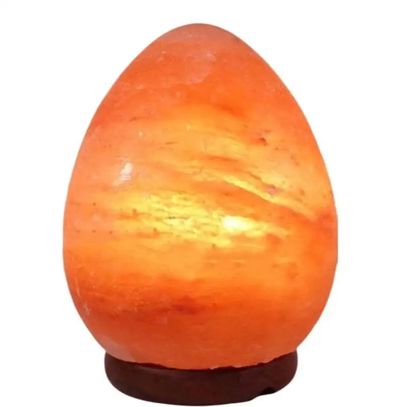 PLUSHOME Lámparas de Sal del Himalaya Naturales Alta Calidad con USB y Base de Madera