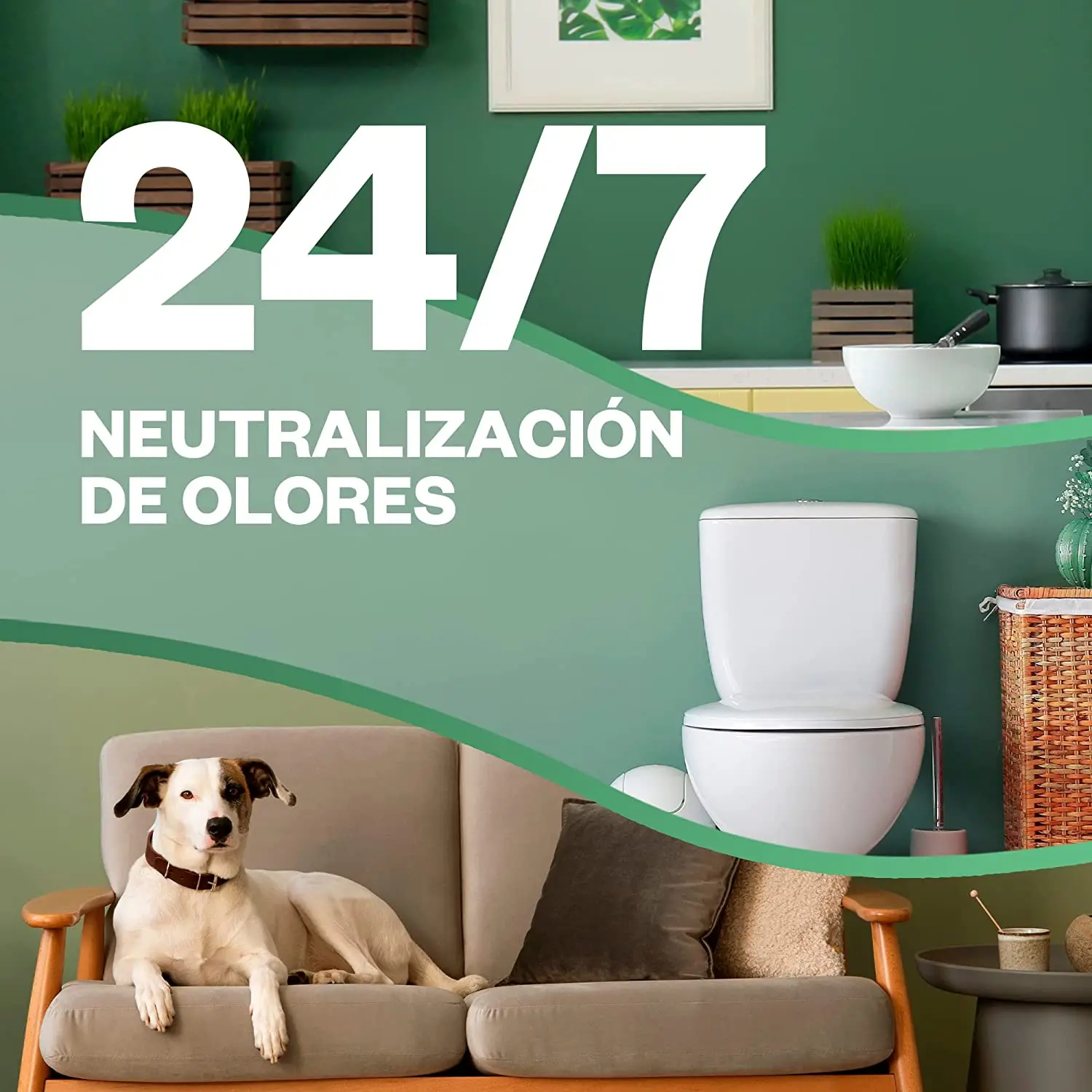 Air Wick Active Fresh Spray Automatic No Aerosol-Jasmine Flower-scented Home Freshener-3 refills #3