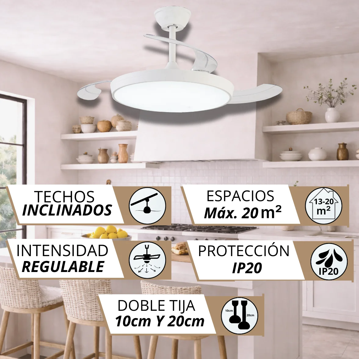 Imagen 5