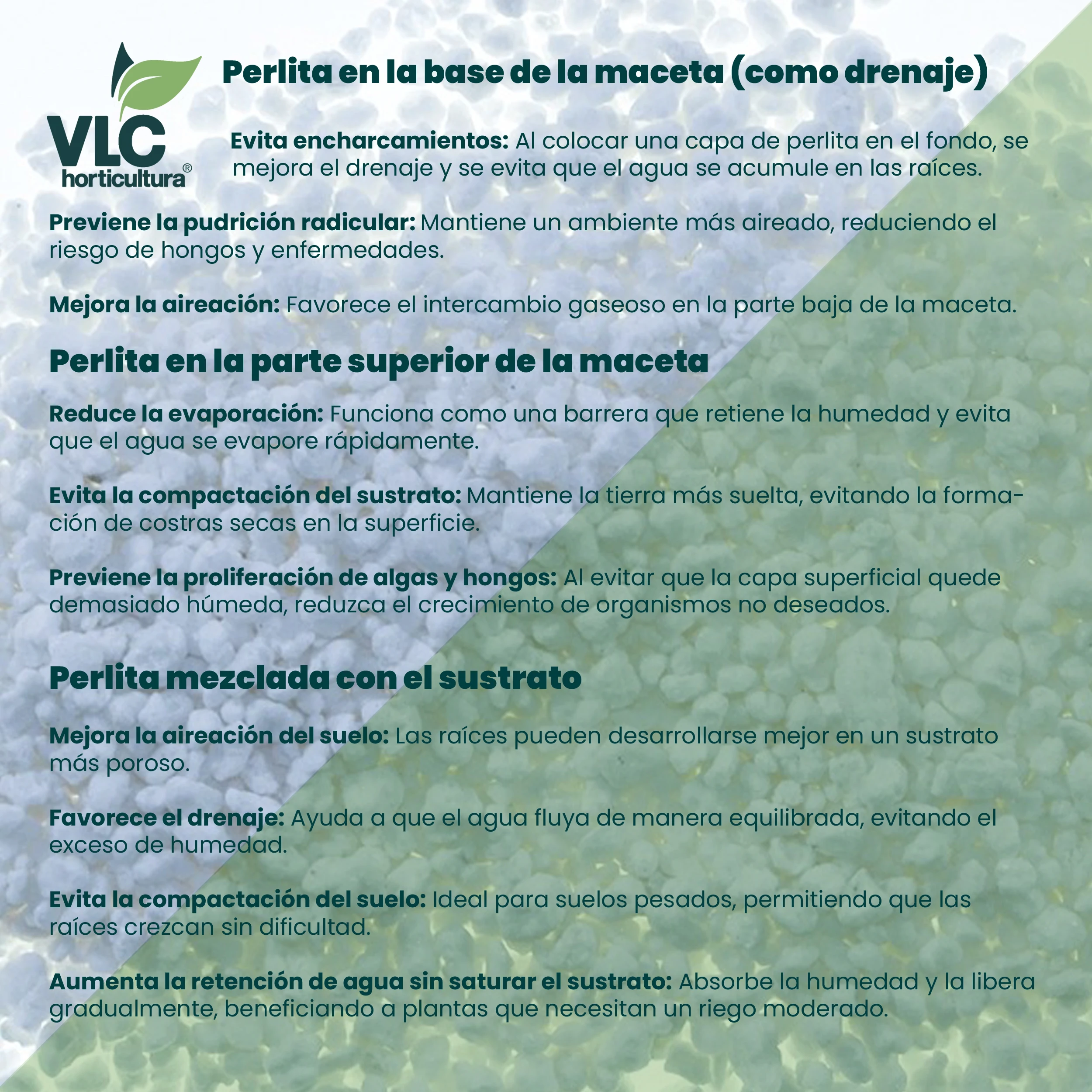 ✅   Vlc horticulture plant bead 10l + 5l free. Indicated for all types of vegetable cultivation, flowers, plants and to improve the qualities of all types of growing substrates.