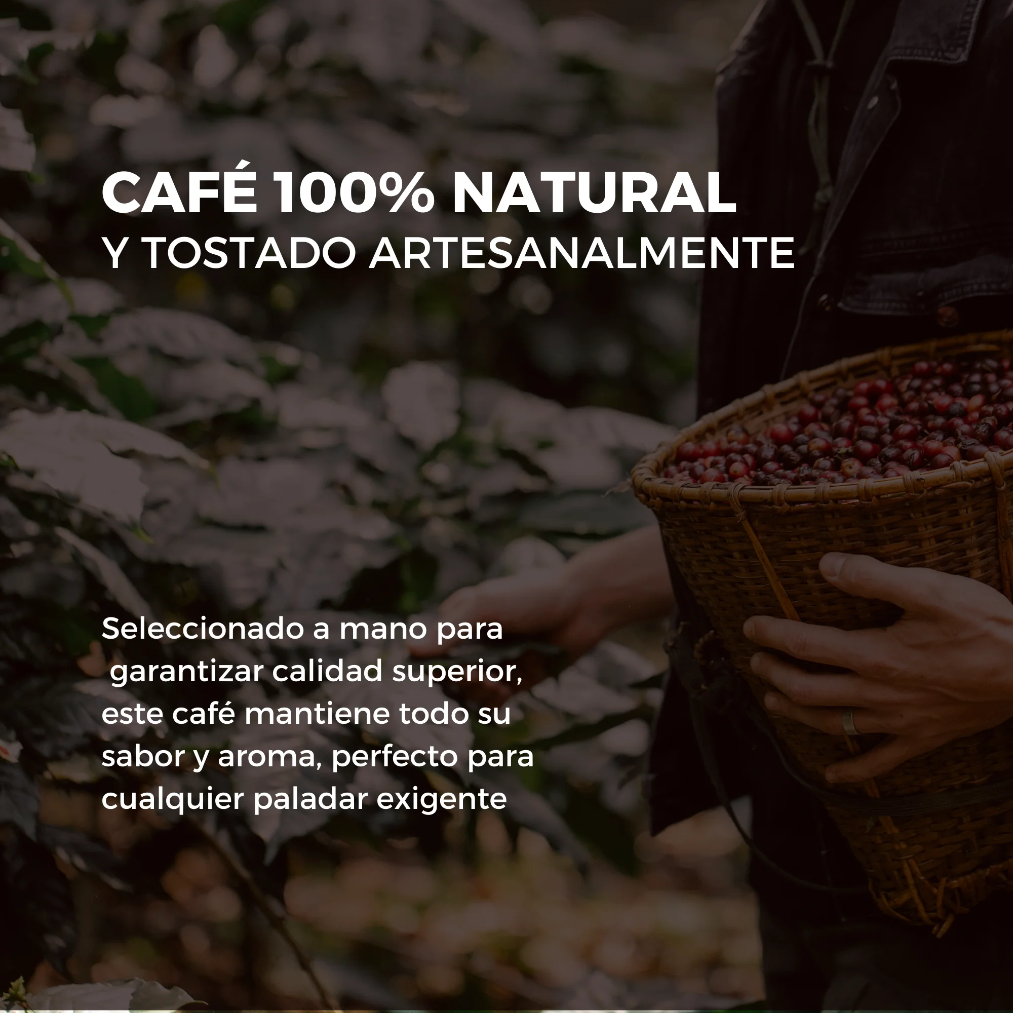 La chinata box m café (4 products)