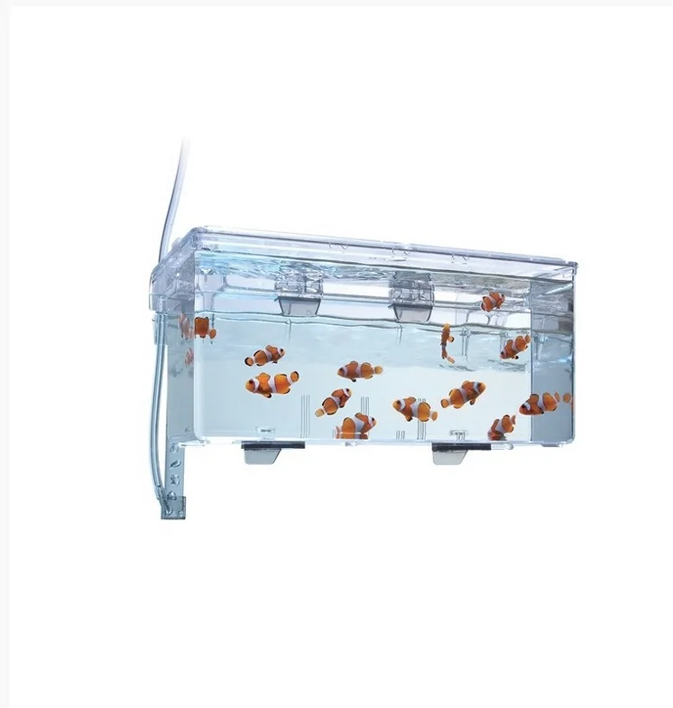 Fluval external big model Paridera-fish breeding box-Ideal for freshwater and saltwater aquariums-fingerling separator and insulator-easy installation