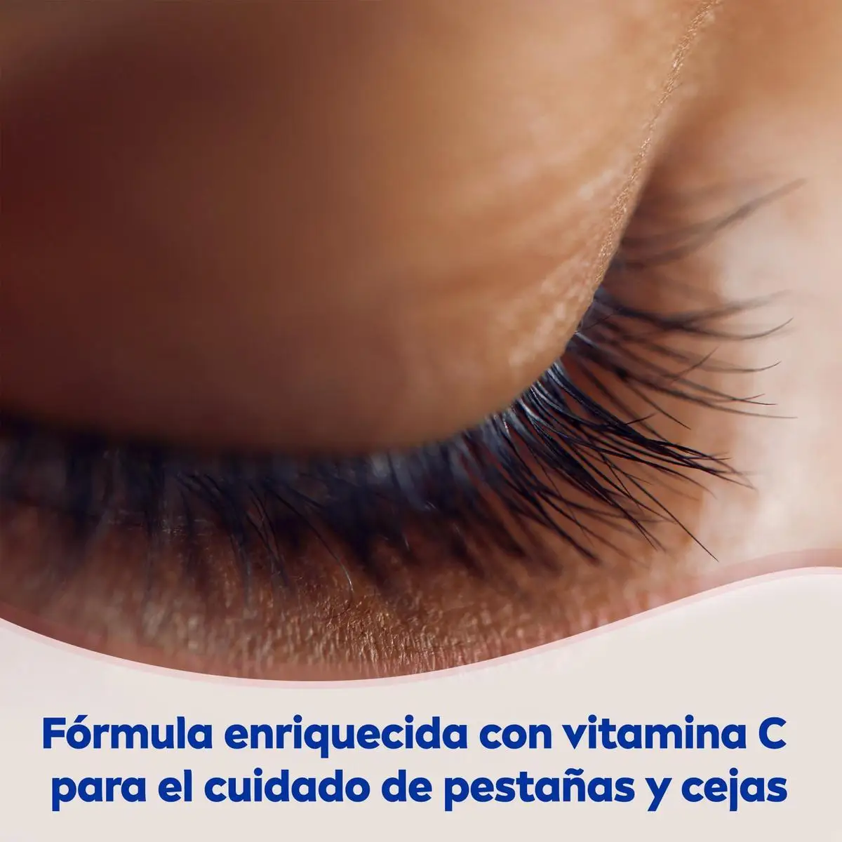 Imagen 7