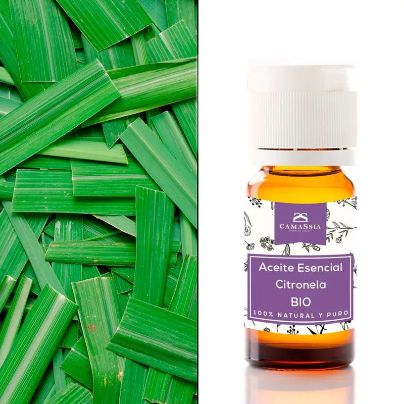 Camassia Aceite Esencial Citronela Java BIO 100% Natural Agricultura Ecológica