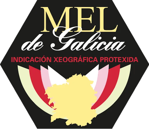 Honey from galicia de montaña; natural artesan raw pure 100% conde santo españa pure honey (mountain, 1 kg)) #3