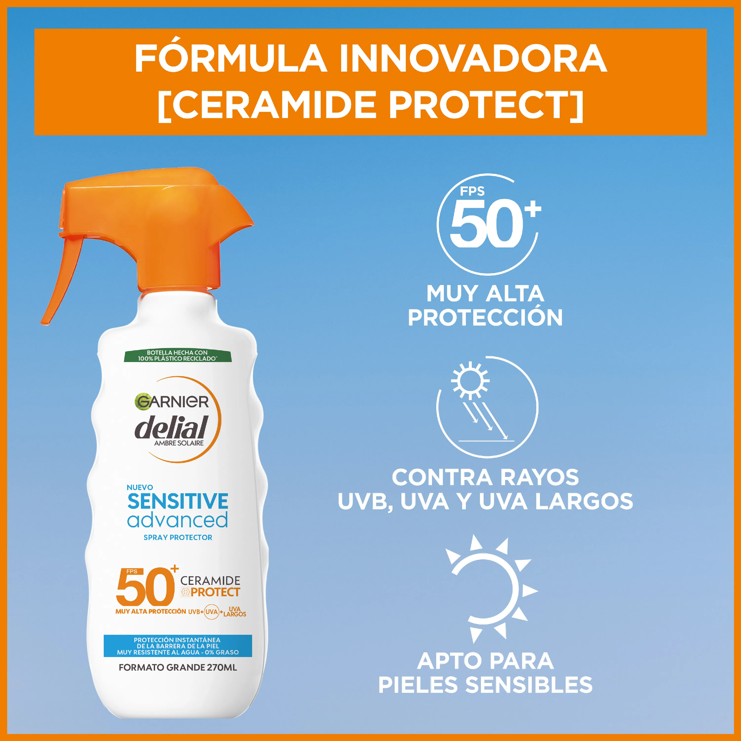 Imagen 7