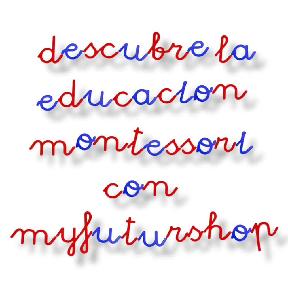 Montessori letters, school alphabet lowercase. Learn to read and write while having fun. Educational alphabet for children 3 4 5 and 6 years old. (small) mfs myfuturshop