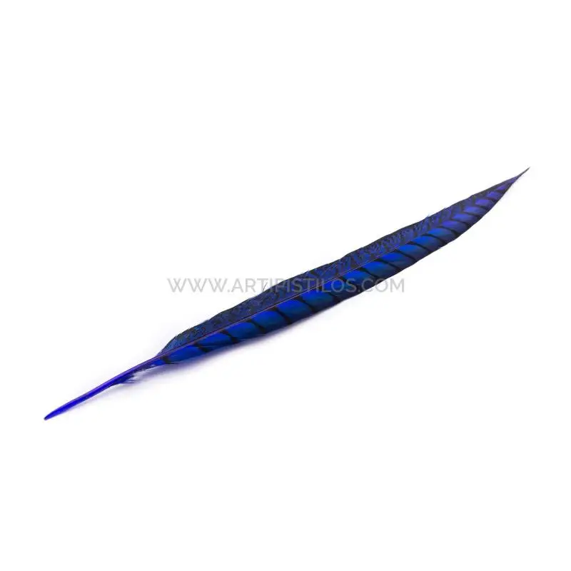 Pluma Faisán Lady Amherst 40-45 Cms - Sombreros | Alta Calidad