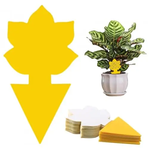 60 Pz Trampas Adhesivas para Moscas, Papeles Pegajosos Amarillos Trampas de Moscas, Trampas para Moscas Doble Cara, Placas Amarillas Enchufables Contra los Mosquitos de los Hongos, Pulgones