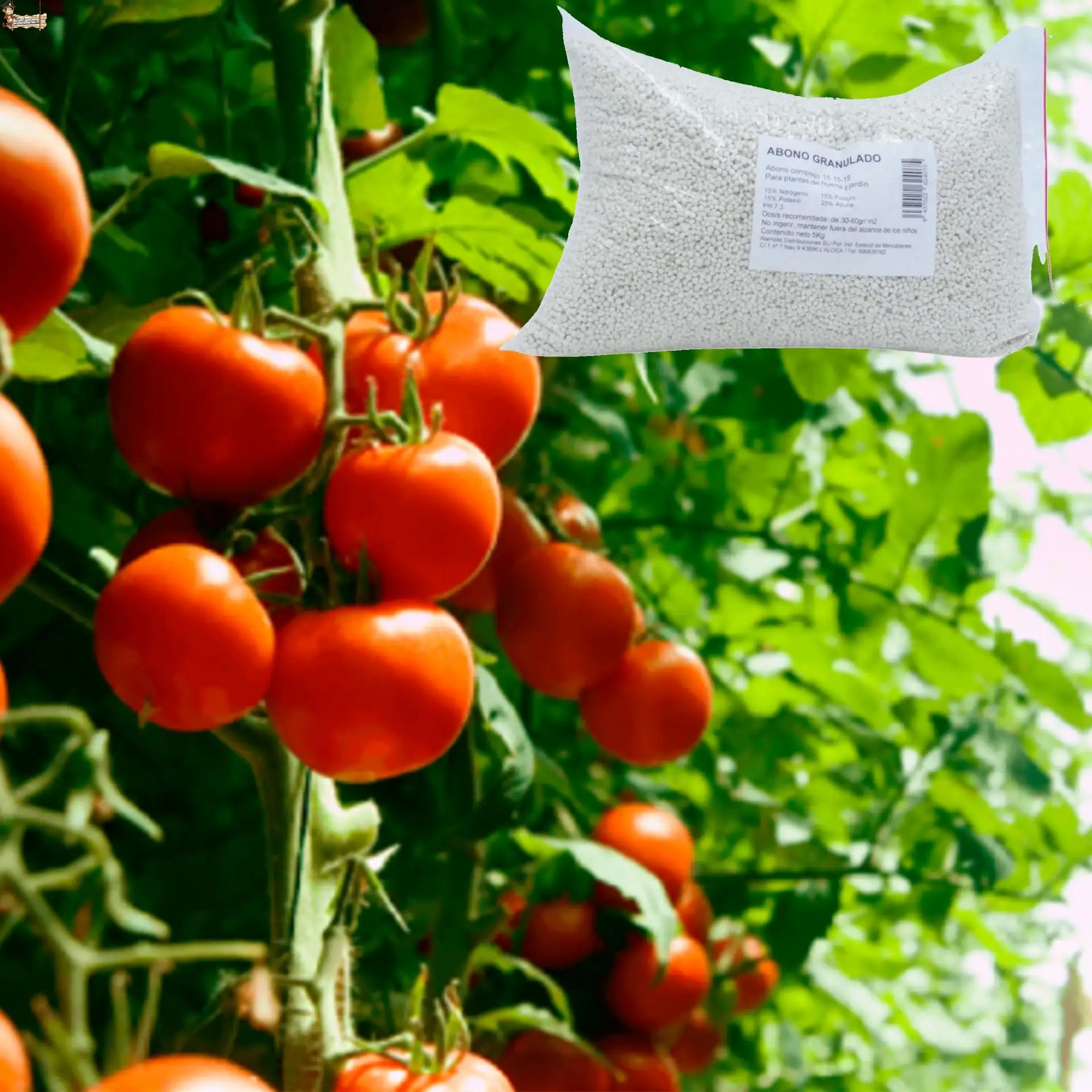 Npk complex fertilizer 15-15-15 bricoloco.com