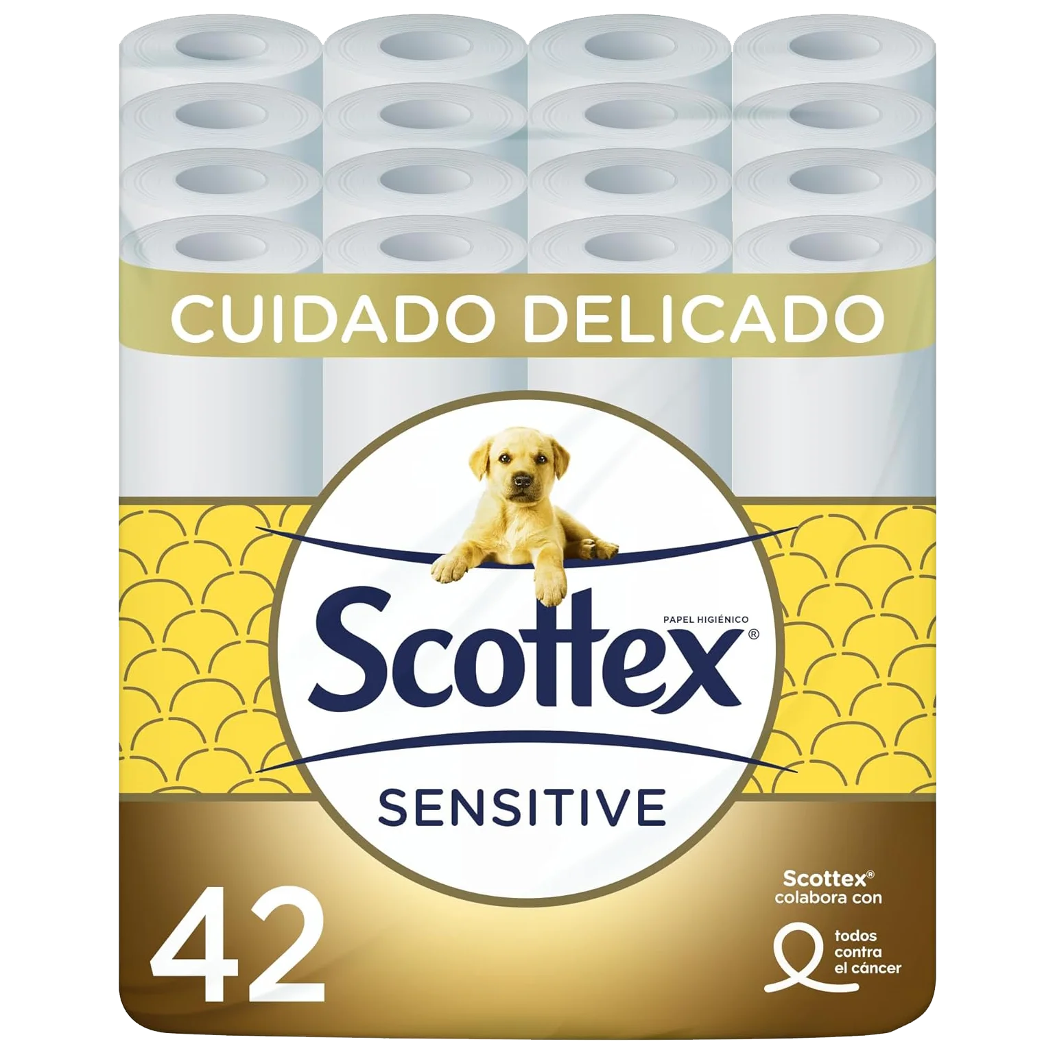 El Acolchamiento Perfecto: Cómo Elegir el Papel Higiénico Más Suave para tu Bienestar Diario