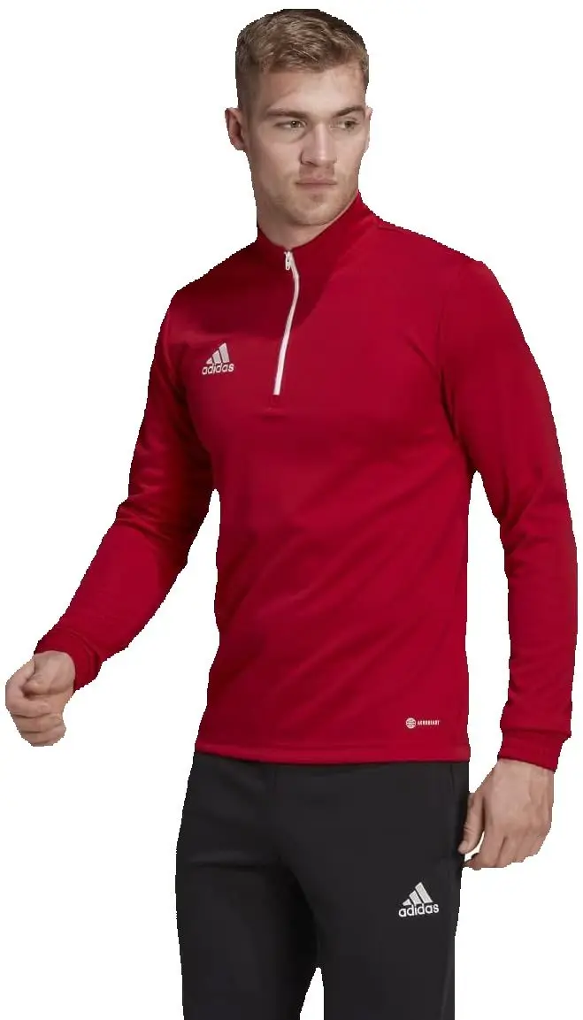 Adidas sports sweatshirt training entrance 22 for men, blue, red and black