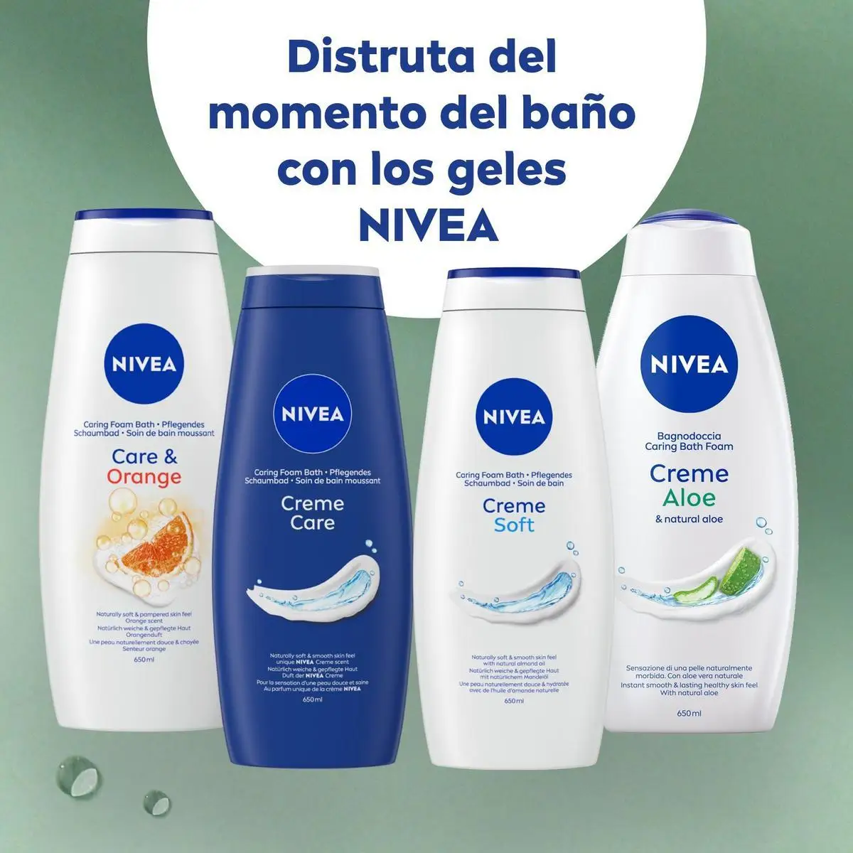 Imagen 8