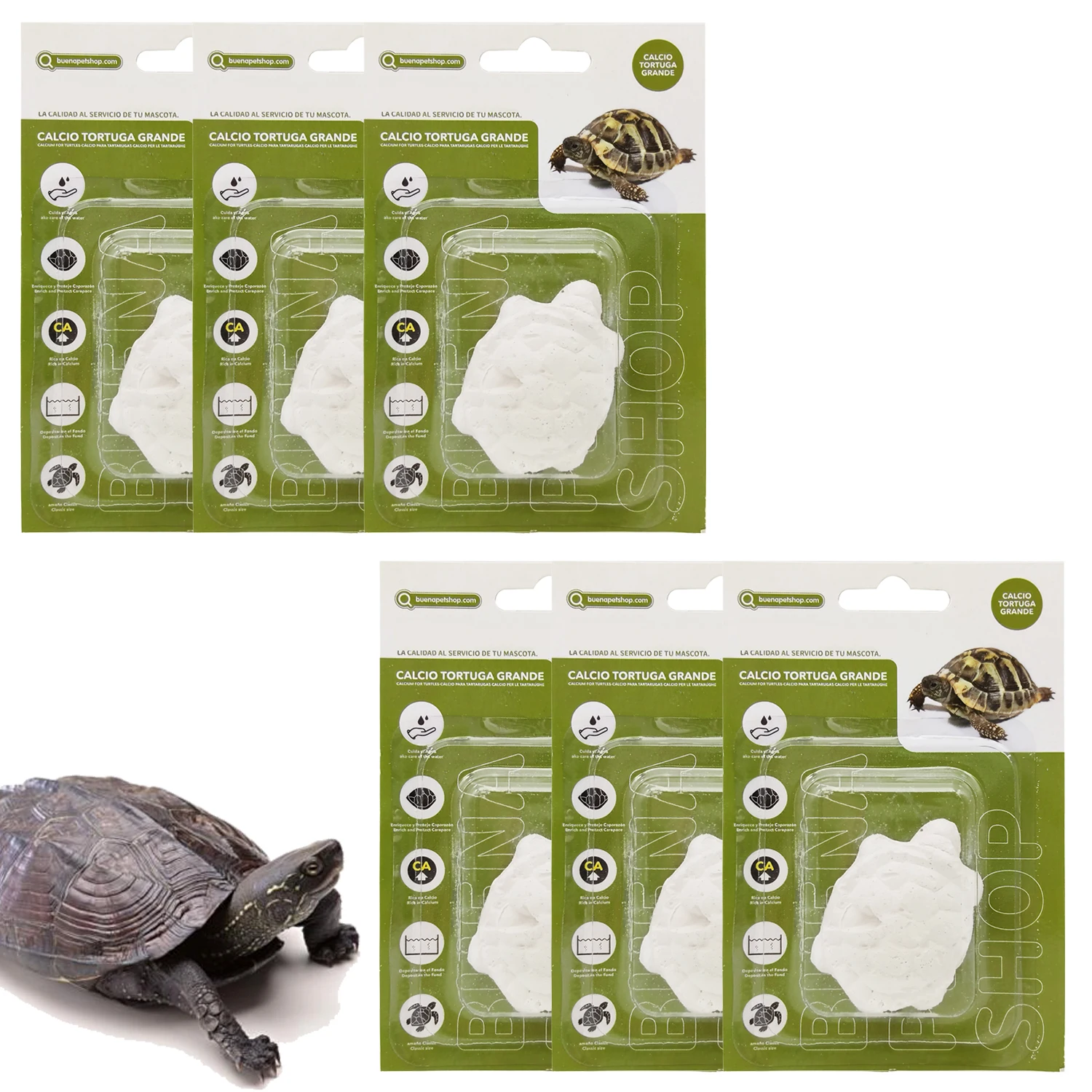 6 Pcs Bloque de Calcio para Tortugas Grande Natural Complemento Básico Tamaño Normal