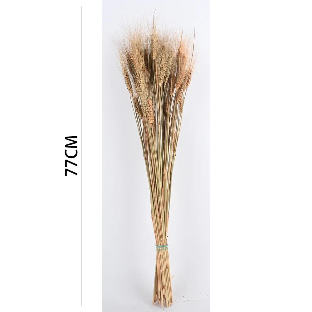 Poenia Arte Floral - Trigo Preservado 77cm - REF 7152 - Decoración del Hogar - DIY para Mesa - Boda