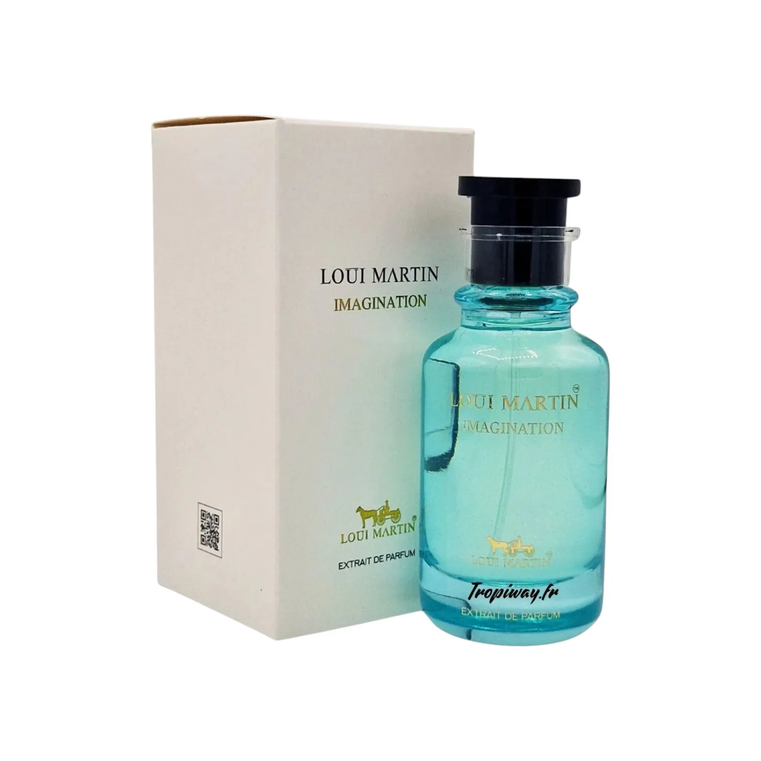 Imagination 100ML - Perfume para Mujer Árabe de Loui Martin, exótico, opulento, intenso
