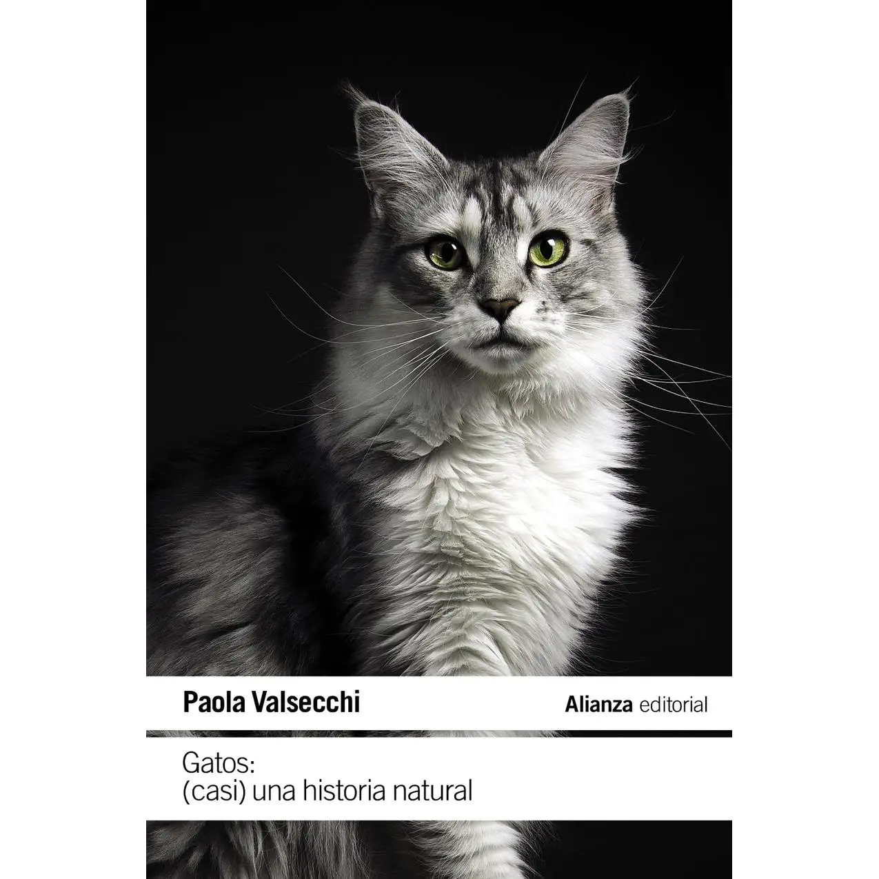 Che cos'è Valsecchi e perché è riconosciuto come un marchio di qualità per le pentole