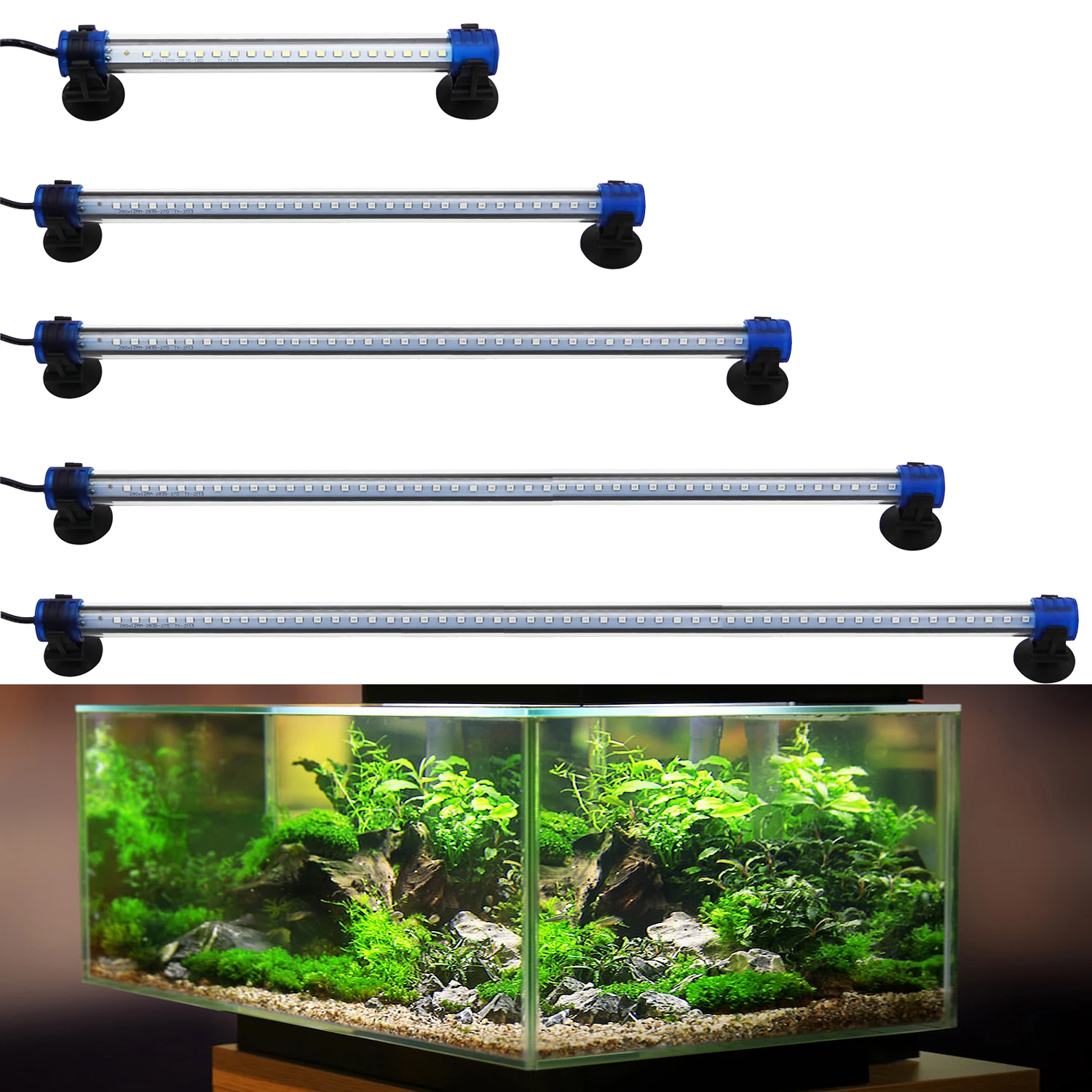 Luz Blanca/Azul LED de Acuario Peces Tanque Clip Lámpara Iluminación de Plantas de Acuario con Luz con Diferente Voltaje Longitud