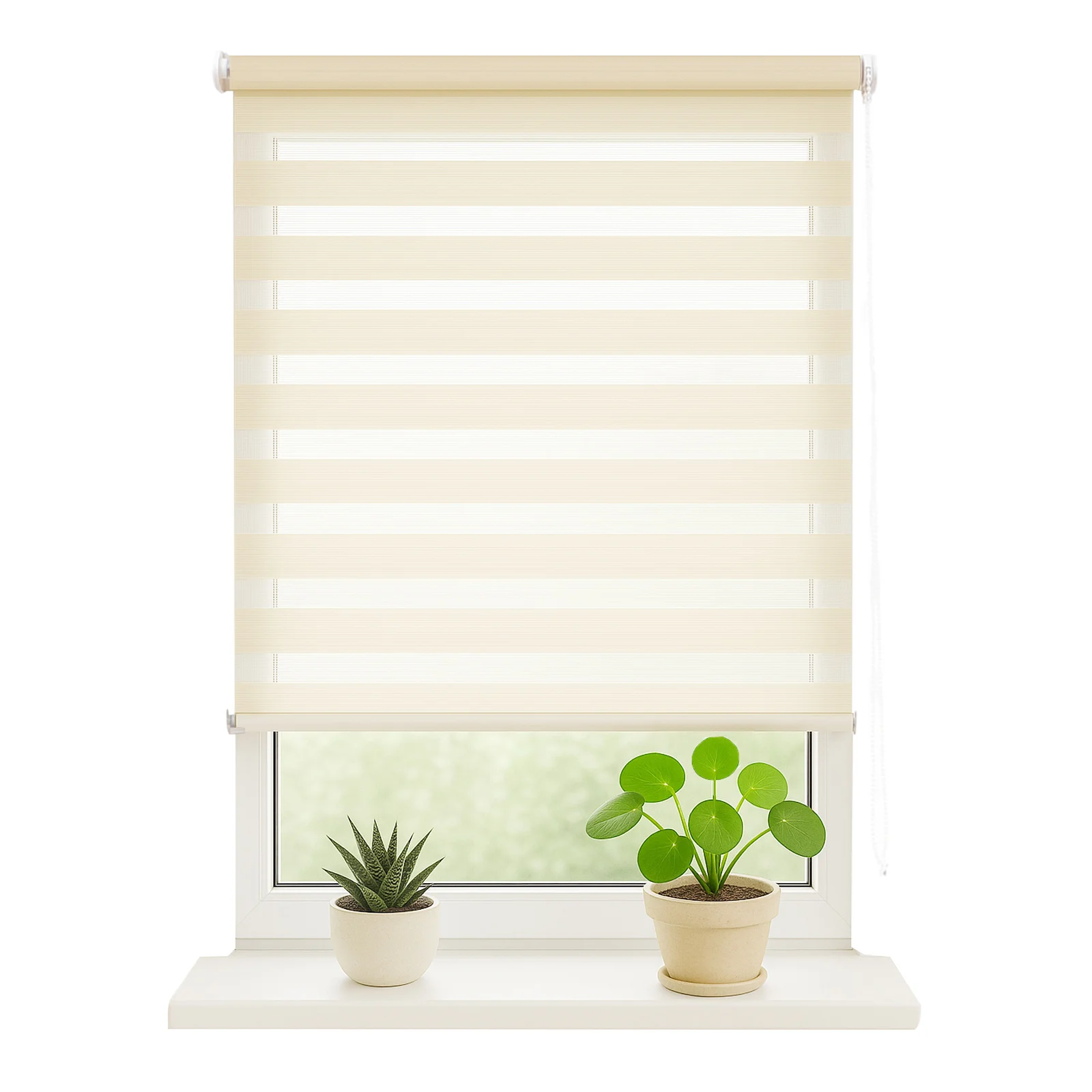 Estor Enrollable Noche y Día de Doble Capa – Fácil Instalación sin Taladro, Para Ventanas y Puertas, Varios Colores