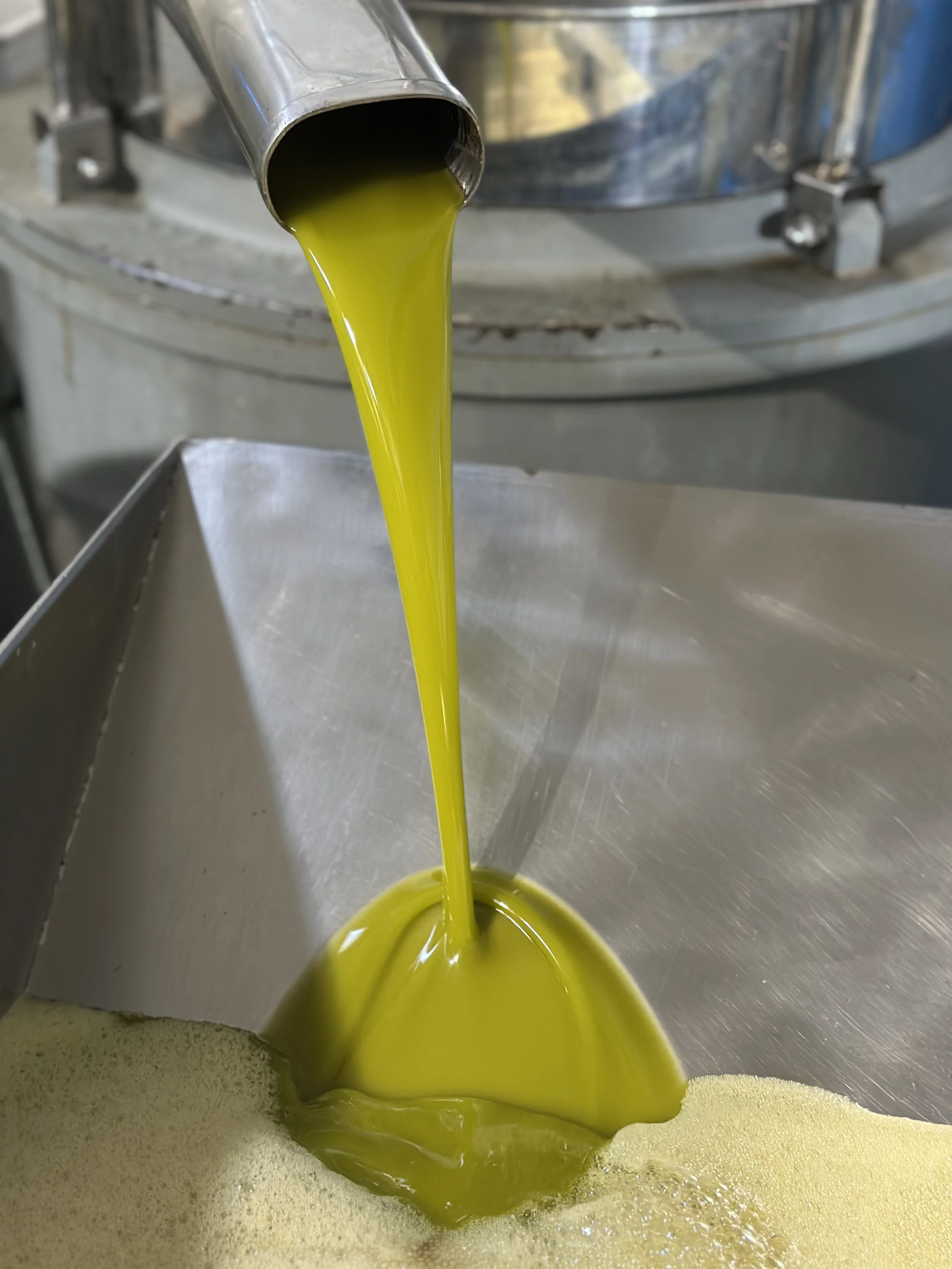 Pack of unfiltered extra virgin olive oil veraoliva - 6 x 1l bottles - early harvest 2025/2026