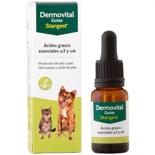 Dermovital Gotas para Perros y Gatos de Stangest - Complemento Nutricional para Dermatitis